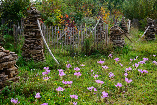 Der Weg Zum Drei Zonen Garten Vortrag von Markus Gastl