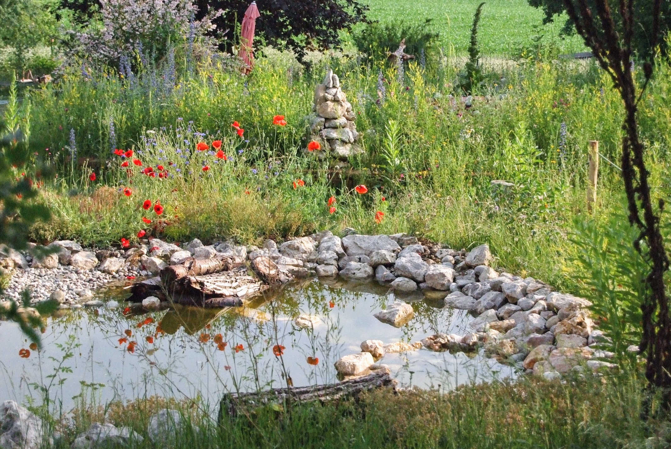 Naturgarten nach dem 3ZonenPrinzip Basiskurs mit David