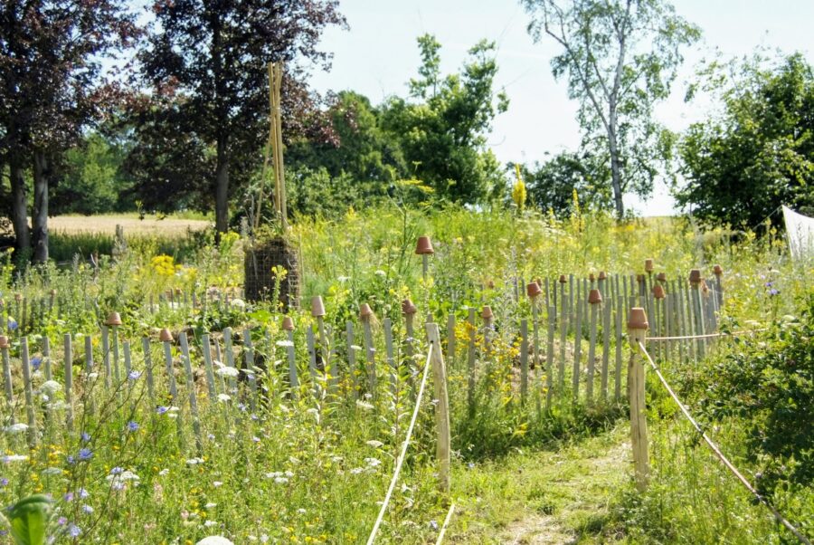 Naturgarten nach dem Prinzip des 3ZonenGartens