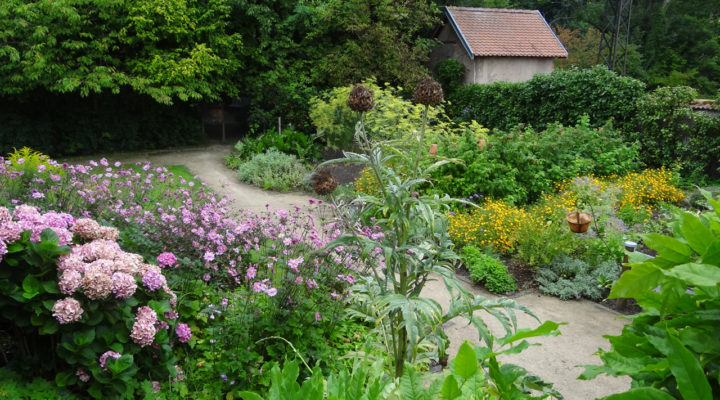 Foto: Beate Sorg