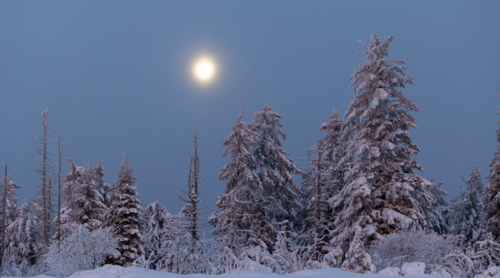 Winter im Schwarzwald mit Vollmond Foto: Sylvia Knittel