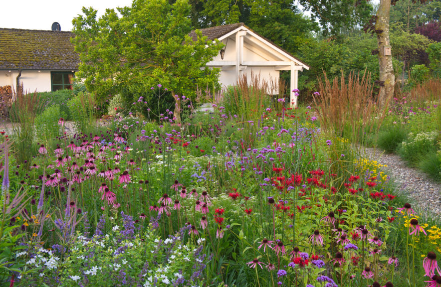 Online Vorträge Garten anlegen & Gartengestaltung campus botanicus