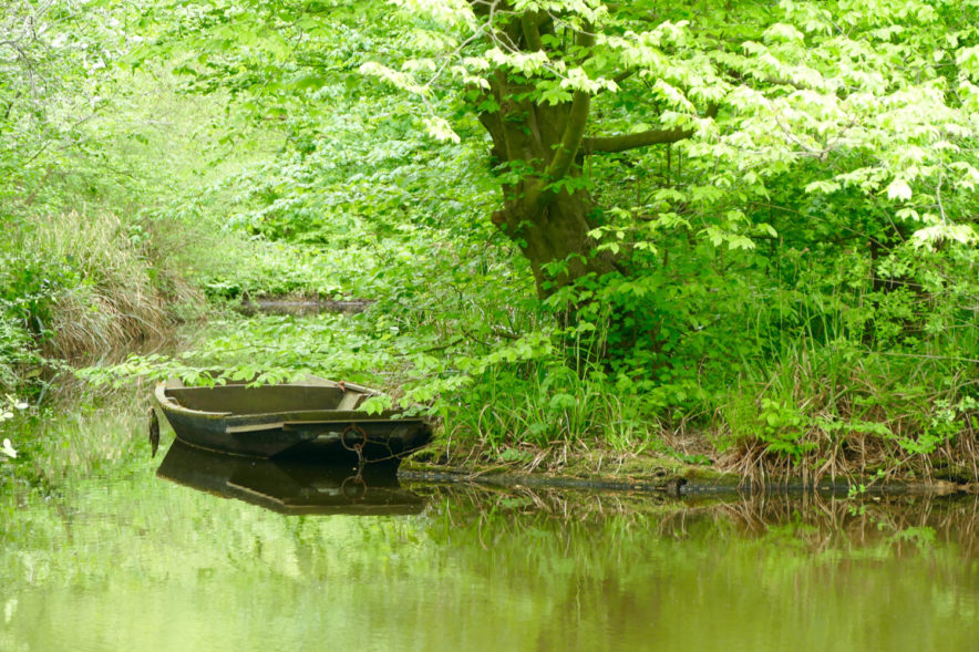 Bunt, wild und lebensfroh Niederländische Gärten Vortrag von Anja Birne