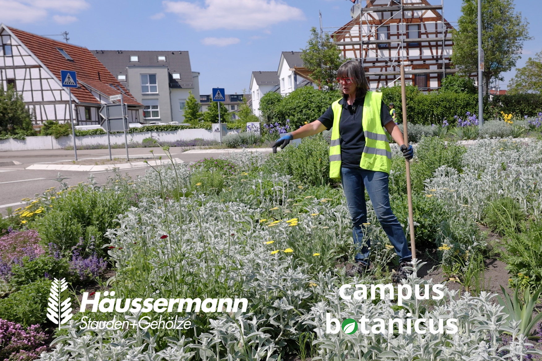 Online GartengestaltungKurse zu Trends im Garten & Botanik