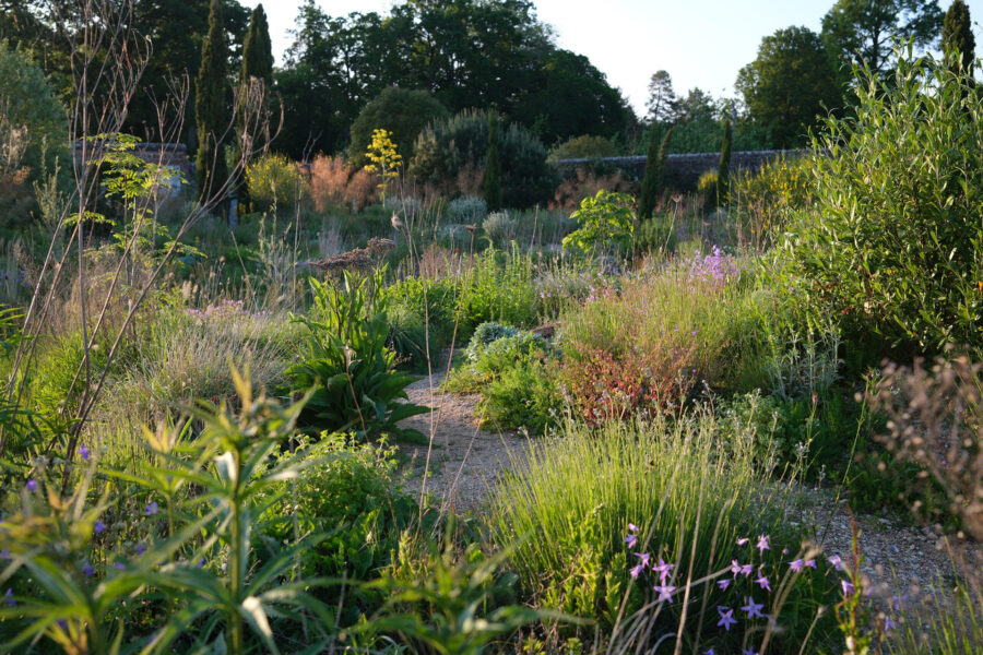 Knepp Estate, Walled Garden, Foto: Charlie Harpur