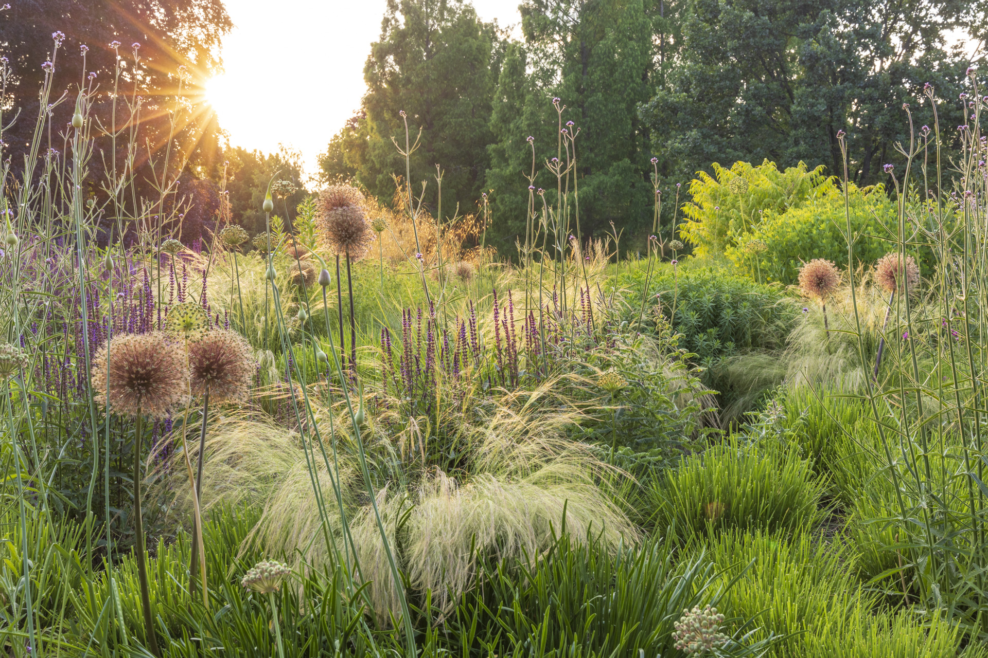 Online GartengestaltungKurse zu Trends im Garten & Botanik