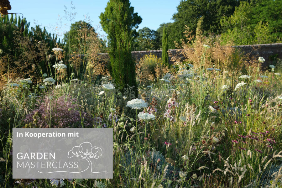 Knepp Estate, Walled Garden, Foto: Charlie Harpur