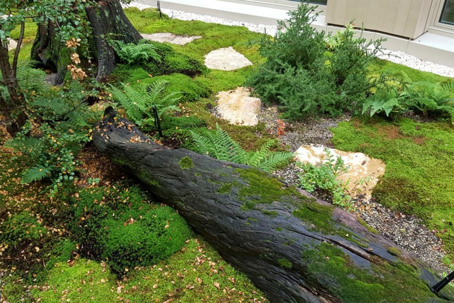 Moosbegrünung, Moosgarten