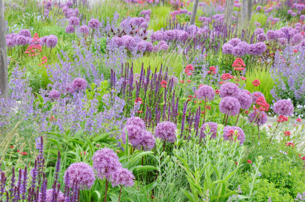 Foto: Cassian Schmidt